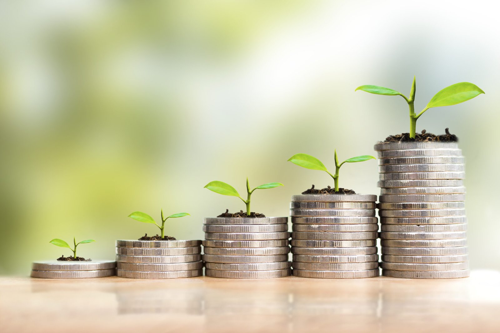 Como Construir Riqueza com Investimentos Inteligentes